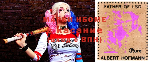 индика Бугульма